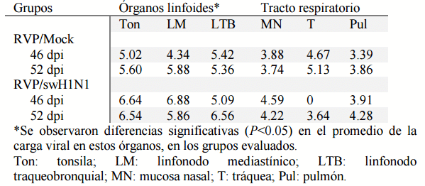 Coinfección experimental del rubulavirus porcino y virus de la influenza porcina (H1N1) en cerdos en crecimiento - Image 4