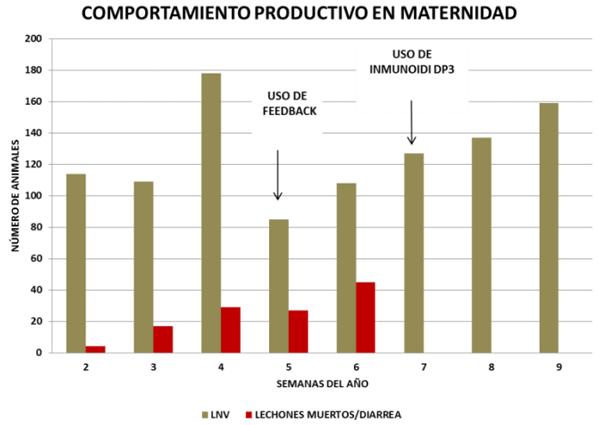 Utilización de inmunoglobulinas de origen aviar para el control de la DEP - Image 3