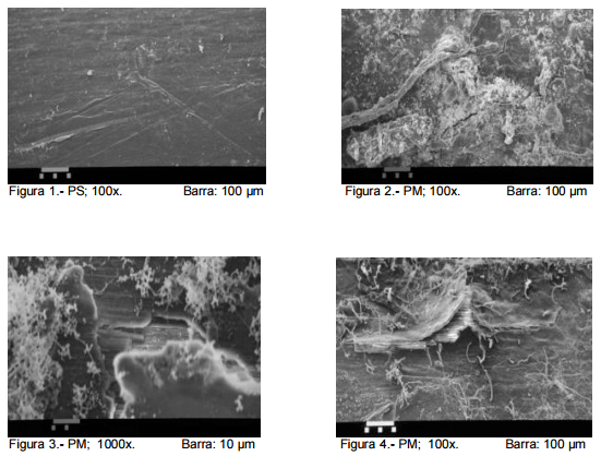 Potencial del proceso de compostaje para degradar pipetas para la inseminación artificial - Image 1