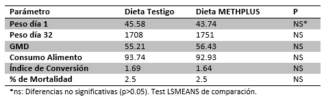 Nuevas alternativas al uso de aminoacidos sintéticos en las especies monogástricas - Image 11