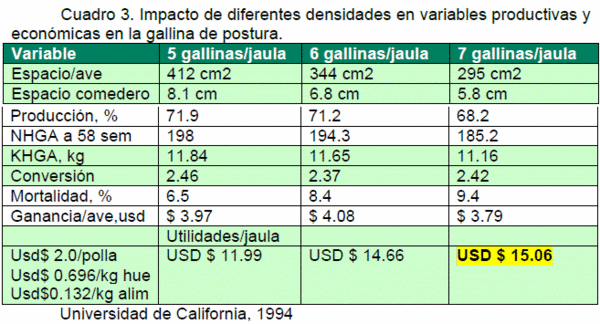 Estrategias nutricionales y de manejo para mejorar la rentabilidad en la industria del huevo - Image 2