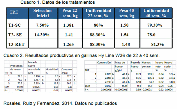 Estrategias nutricionales y de manejo para mejorar la rentabilidad en la industria del huevo - Image 1