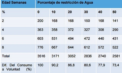 Agua de bebida: principal nutriente - Image 2