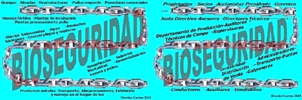 Importancia de la Bioseguridad Exterior en Avicultura - Image 5