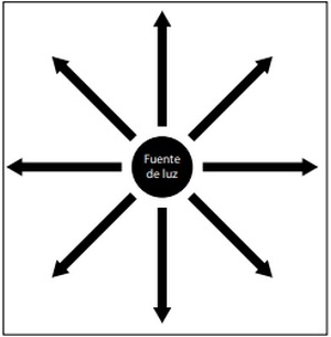 Entendiendo la luz en la Avicultura: Guía del uso de las luces LED y de otras fuentes de luz para ayudar a los productores de huevo - Image 1