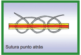 Manual de anestesias y cirugías de bovinos: Cirugías de cabeza, cuello y torax - Image 47