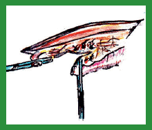 Manual de anestesias y cirugías de bovinos: Cirugías de Abdomen - Image 39