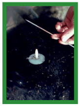 Manual de anestesias y cirugías de bovinos: Cirugías del aparato reproductor de la hembra - Image 30