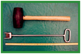 Manual de anestesias y cirugías de bovinos: Cirugías del aparato reproductor de la hembra - Image 11