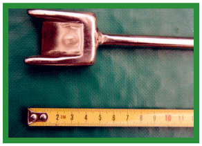 Manual de anestesias y cirugías de bovinos: Cirugías del aparato reproductor de la hembra - Image 12