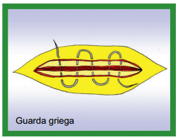 Manual de anestesias y cirugías de bovinos: Cirugías del aparato reproductor de la hembra - Image 9