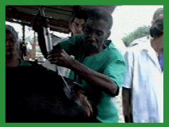 Manual de anestesias y cirugías de bovinos: Cirugías aparato reproductor del macho - Image 41