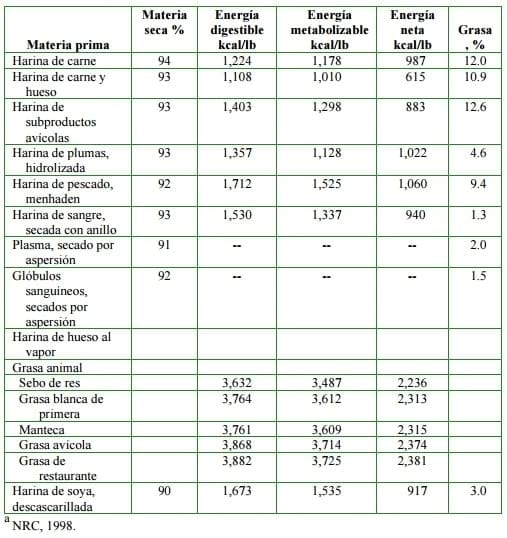 Subproductos reciclados de origen animal en la nutrición porcina - Image 2