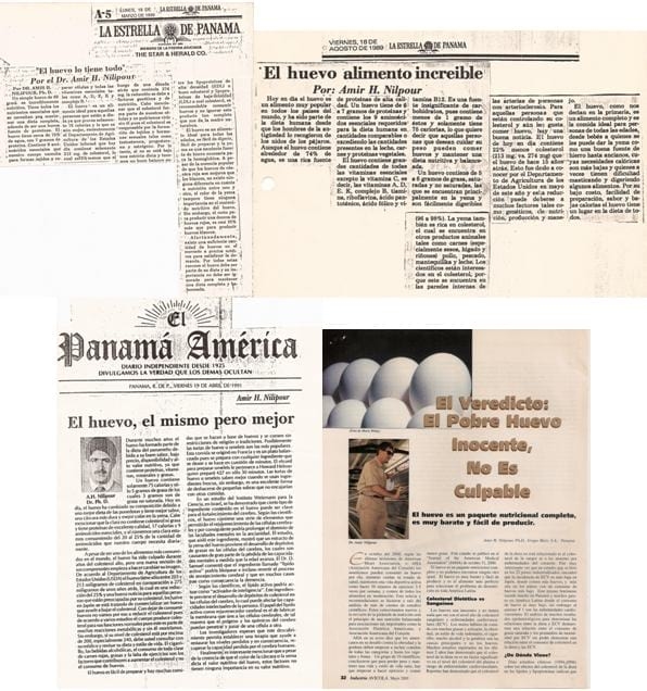 Las preguntas mas frecuentes del huevo 2015 - Día Mundial del Huevo (DMH) 20 años de celebración - Image 4