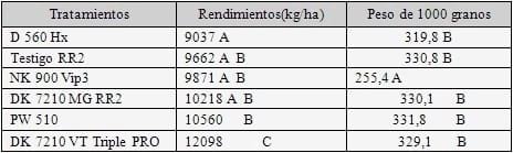 Evaluación del daño de lepidópteros en híbridos de maíz BT y su impacto sobre el rendimiento - Image 6