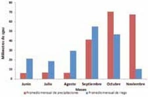 Consumo y disponibilidad de agua en cultivo de riego - Image 3