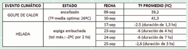 Impacto de los factores ambientales en el rendimiento del trigo en la campaña 2013 - Image 6