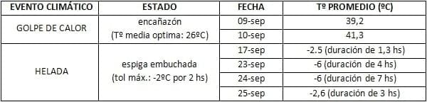 Impacto de los factores ambientales en la definición de los rendimientos de los cultivos: Trigo, Resultados de la campaña 2013 - Image 5