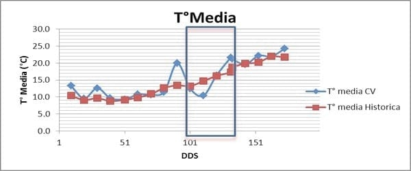 Impacto de los factores ambientales en la definición de los rendimientos de los cultivos: Trigo, Resultados de la campaña 2013 - Image 4