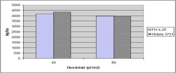 Soja: Evaluación de prácticas de manejo con riego suplementario - Image 9