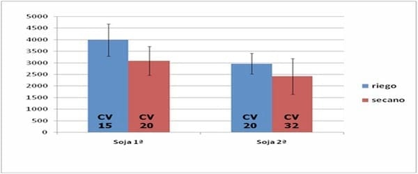 Soja: Evaluación de prácticas de manejo con riego suplementario - Image 3