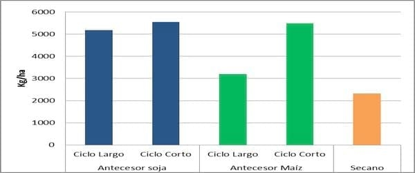 Evaluación del comportamiento productivo del cultivo de trigo en un sistema de riego por aspersión en la provincia de Córdoba - Image 2