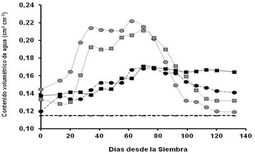 Riego suplementario: La funcionalidad de los sistemas radicales y del agua almacenada en el subsuelo, para la optimización del uso de Balance hídrico - Image 4