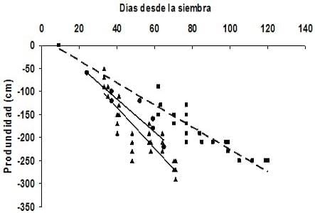 Riego suplementario: La funcionalidad de los sistemas radicales y del agua almacenada en el subsuelo, para la optimización del uso de Balance hídrico - Image 3