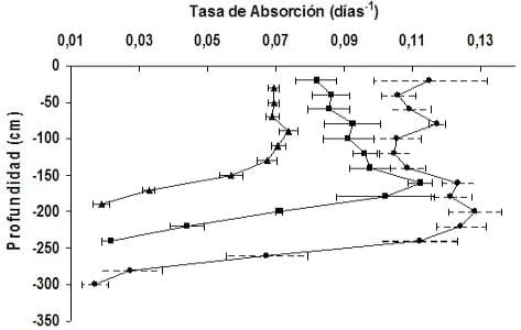 Riego suplementario: La funcionalidad de los sistemas radicales y del agua almacenada en el subsuelo, para la optimización del uso de Balance hídrico - Image 5