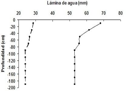 Riego suplementario: La funcionalidad de los sistemas radicales y del agua almacenada en el subsuelo, para la optimización del uso de Balance hídrico - Image 2