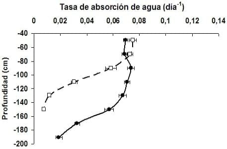 Riego suplementario: La funcionalidad de los sistemas radicales y del agua almacenada en el subsuelo, para la optimización del uso de Balance hídrico - Image 6