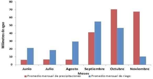 Consumo y disponibilidad de agua en cultivo de trigo bajo riego. Experiencia en la región centro de la provincia de Córdoba. - Image 5