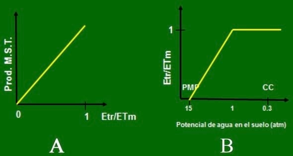 Trigo: Impacto del stress en periodo critico - Image 3