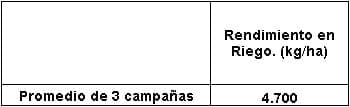 Resultados económicos de producción de Cebada Cervecera bajo riego suplementario en INTA Manfredi - Image 4