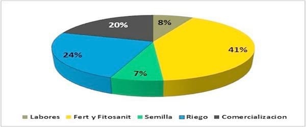 Resultados económicos de producción de Cebada Cervecera bajo riego suplementario en INTA Manfredi - Image 7