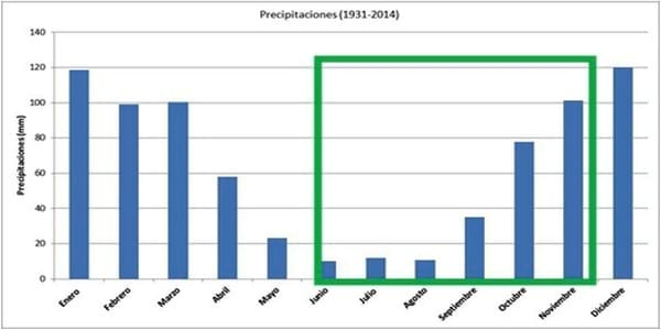 Resultados económicos de producción de Cebada Cervecera bajo riego suplementario en INTA Manfredi - Image 1