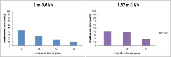 Evaluación de la respuesta del cultivo de trigo a distintos distanciamientos entre mangueras en riego por goteo subterráneo - Image 5