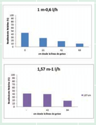Evaluación de la respuesta del cultivo de trigo a distintos distanciamientos entre mangueras en riego por goteo subterráneo, en INTA Manfredi - Image 6