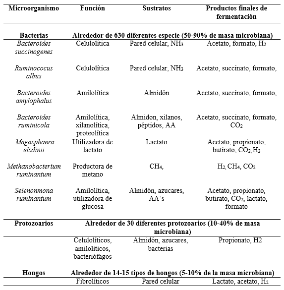 Nutrir adecuadamente al rumen para mejorar la respuesta productiva del animal - Image 3