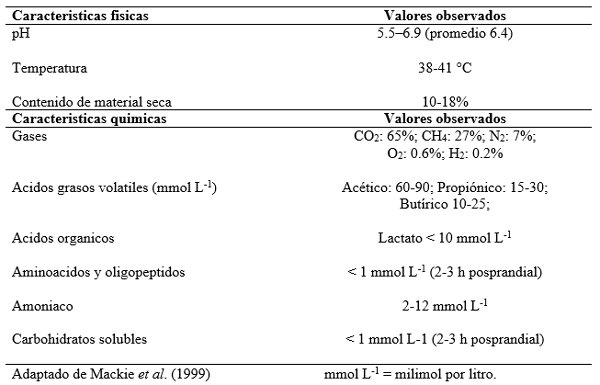 Nutrir adecuadamente al rumen para mejorar la respuesta productiva del animal - Image 2