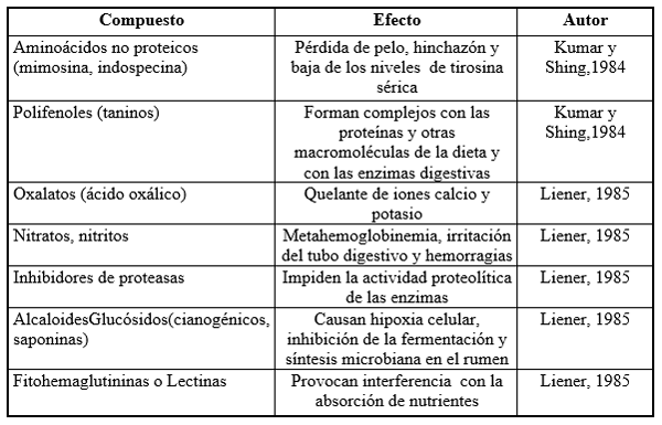 Importancia de las leguminosas en la alimentación de rumiantes - Image 2