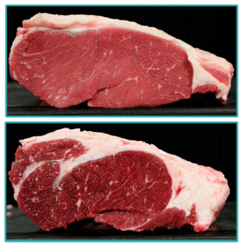 Sistemas de Producción y Calidad de carne Bovina - Image 21