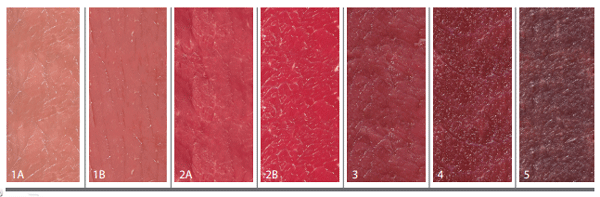 Sistemas de Producción y Calidad de carne Bovina - Image 31