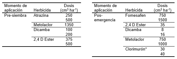 Recuperación de daño fitotóxico sobre el rendimiento causado por herbicidas: Resultados de primeras pruebas en soja - Image 1