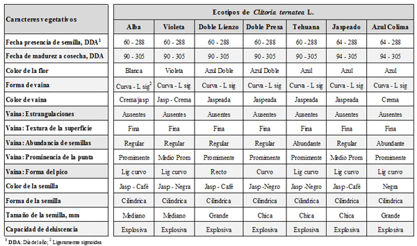 Características botánicas de siete ecotipos mexicanos de Clitoria ternatea L. - Image 1