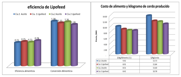 Sustratos gluconeogenicos y energia en la nutrición porcina - Image 4