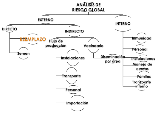 PRRS y PED, lecciones que hemos aprendido y su aplicación en el monitoreo de las enfermedades emergentes en la producción porcina mundial - Image 2