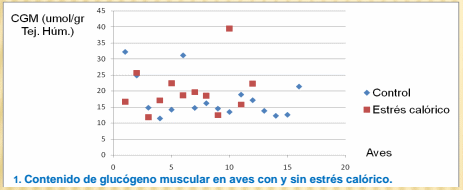 Efecto del estrés calórico agudo sobre el contenido muscular de glucógeno y la calidad de carne de aves - Image 1