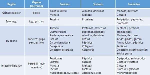 Experiencias en la nutrición del cerdo con enzimas funcionales - Image 13