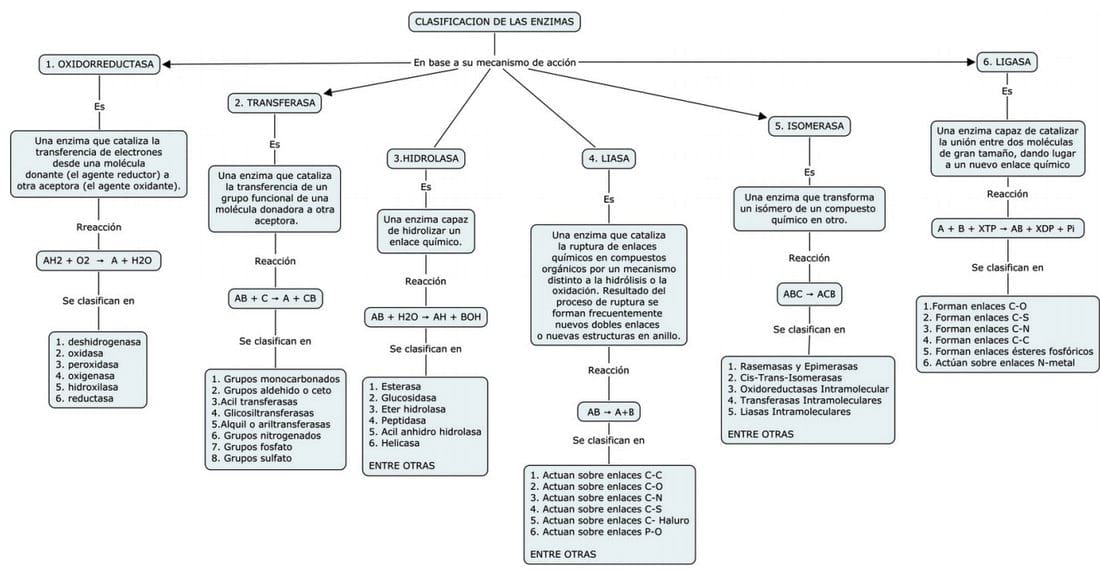 Experiencias en la nutrición del cerdo con enzimas funcionales - Image 10